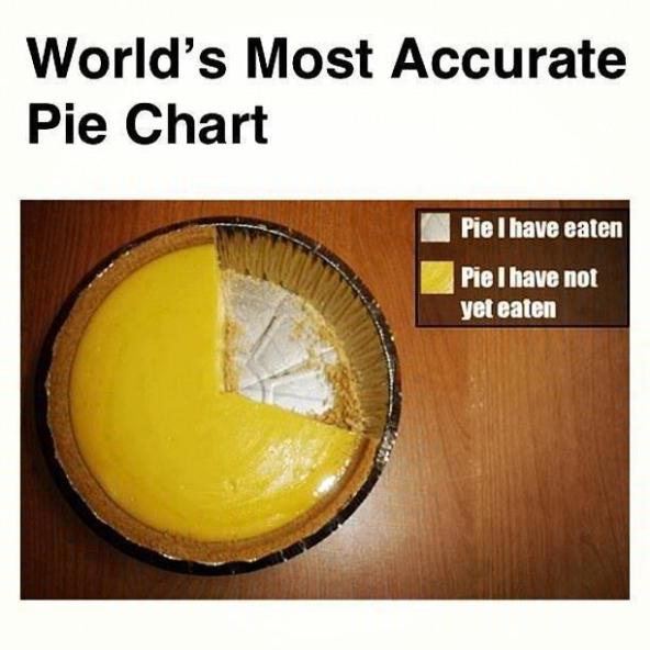 World's Pie Chart